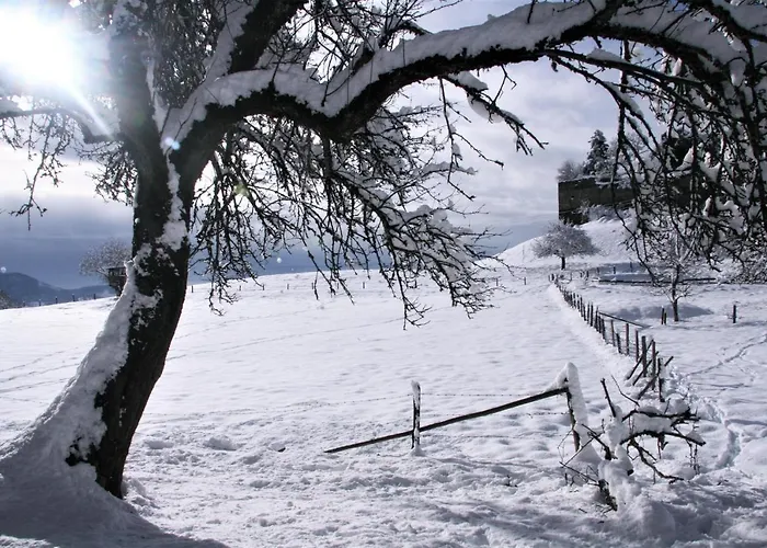 Alte Volksschule - Schual In Gradne *
