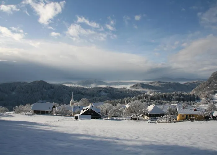 Apartament Alte Volksschule - Schual In Gradne